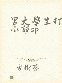 男大学生打屁股小说sp