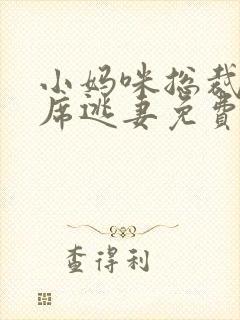 小妈咪总裁的首席逃妻免费阅读全文无弹窗