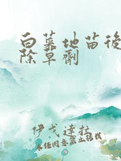 白菜地苗后专用除草剂