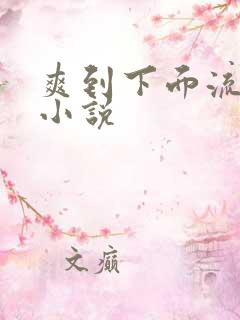 爽到下面流水的小说