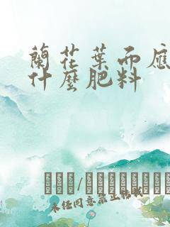 兰花叶面应喷施什么肥料