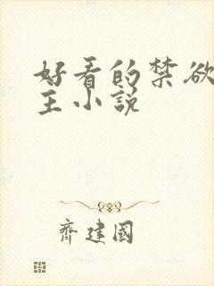 好看的禁欲系男主小说