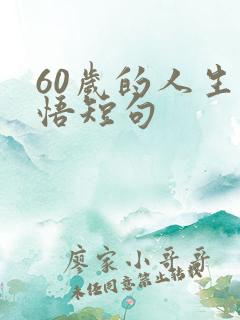 60岁的人生感悟短句
