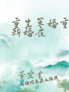 重生军婚重生在新婚夜