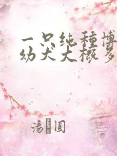 一只纯种博美犬幼犬大概多少钱