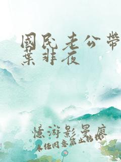 国民老公带回家叶非夜