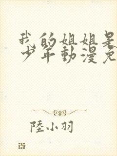 我的姐姐是不良少年动漫免费观看全集