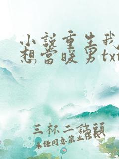 小说重生我真没想当暖男txt 小说重生我真没想当暖男txt