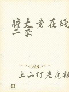 胆大党在线看第二季