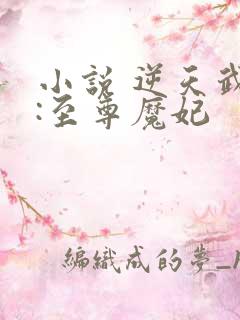 小说 逆天武神:至尊魔妃