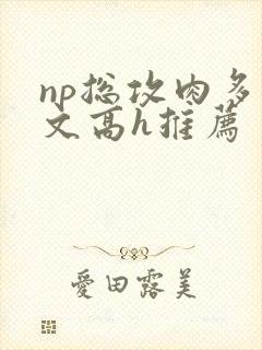 np总攻肉多荤文高h推荐