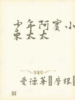 少年阿宾小说房东太太