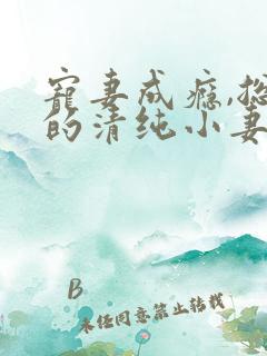 宠妻成瘾,总裁的清纯小妻