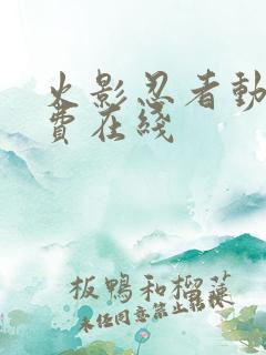 火影忍者动漫免费在线