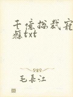 千亿总裁宠妻上瘾txt