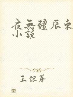 夜无疆辰东有声小说