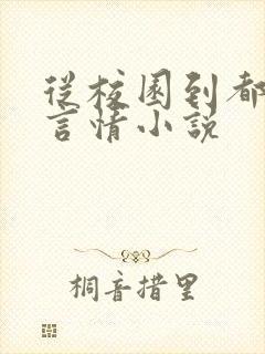 从校园到都市的言情小说