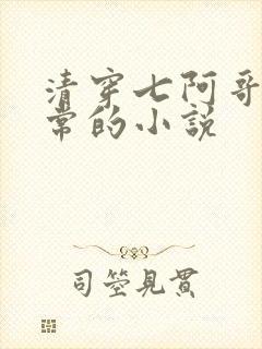 清穿七阿哥的日常的小说