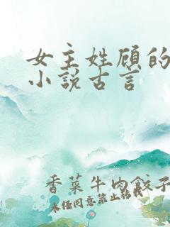 女主姓顾的重生小说古言