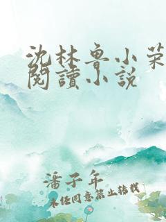 沈林鲁小荣免费阅读小说