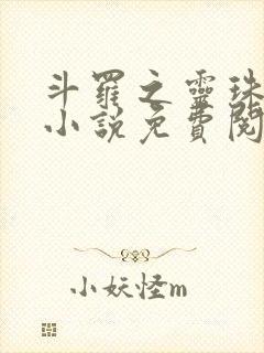 斗罗之灵珠神剑小说免费阅读