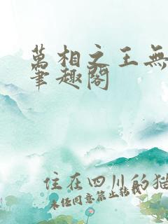 万相之王无弹窗笔趣阁