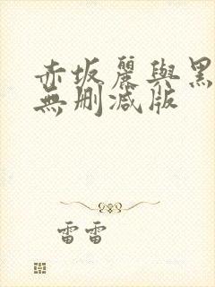 赤坂丽与黑人的无删减版