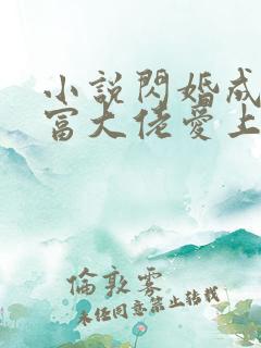 小说闪婚成宠首富大佬爱上我