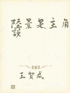 陆晨是主角的小说