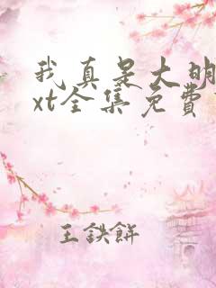 我真是大明星txt全集免费下载