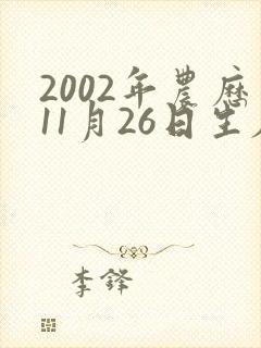 2002年农历11月26日生辰八字