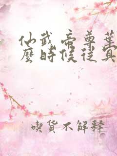 仙武帝尊叶辰什么时候从冥界回来