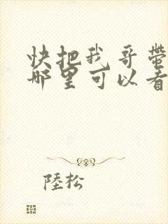 快把我哥带走在哪里可以看