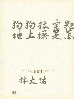 狗狗拉完粑粑在地上擦是怎么回事 狗狗拉完粑粑在地上擦是怎么回事