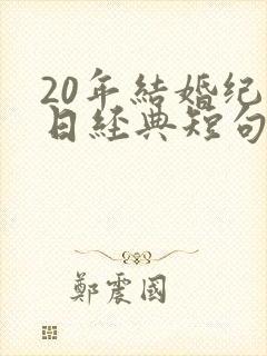 20年结婚纪念日经典短句