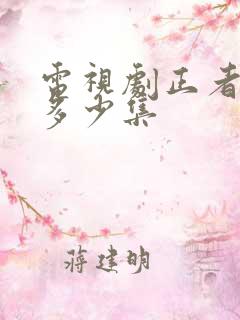 电视剧正者无敌多少集