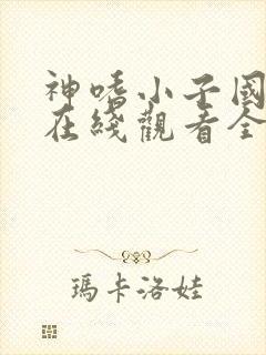神嗜小子国语版在线观看全集
