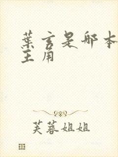 叶玄是哪本小说主角