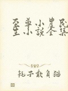 至尊小农民王木生小说全集