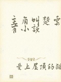 主角叫楚云的所有小说