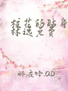 校花的贴身保镖林逸免费