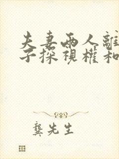 夫妻两人离婚孩子探视权和抚养权归谁