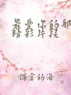 最爱你的那十年精彩片段
