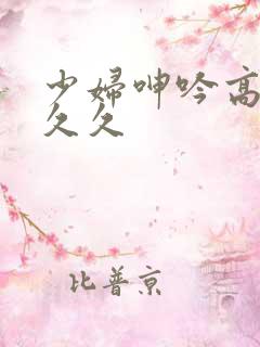 少妇呻吟高潮久久久