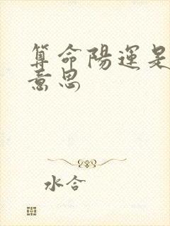 算命阳运是什么意思