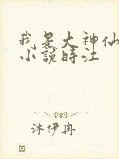 我是大神仙原著小说时江