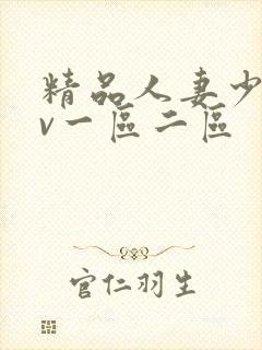 精品人妻少妇av一区二区