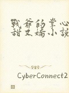 战爷的掌心宠又甜又娇小说下载txt