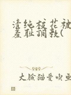 清纯校花被民工羞耻调教(