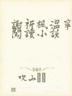 谢祈枫温宁全文阅读小说